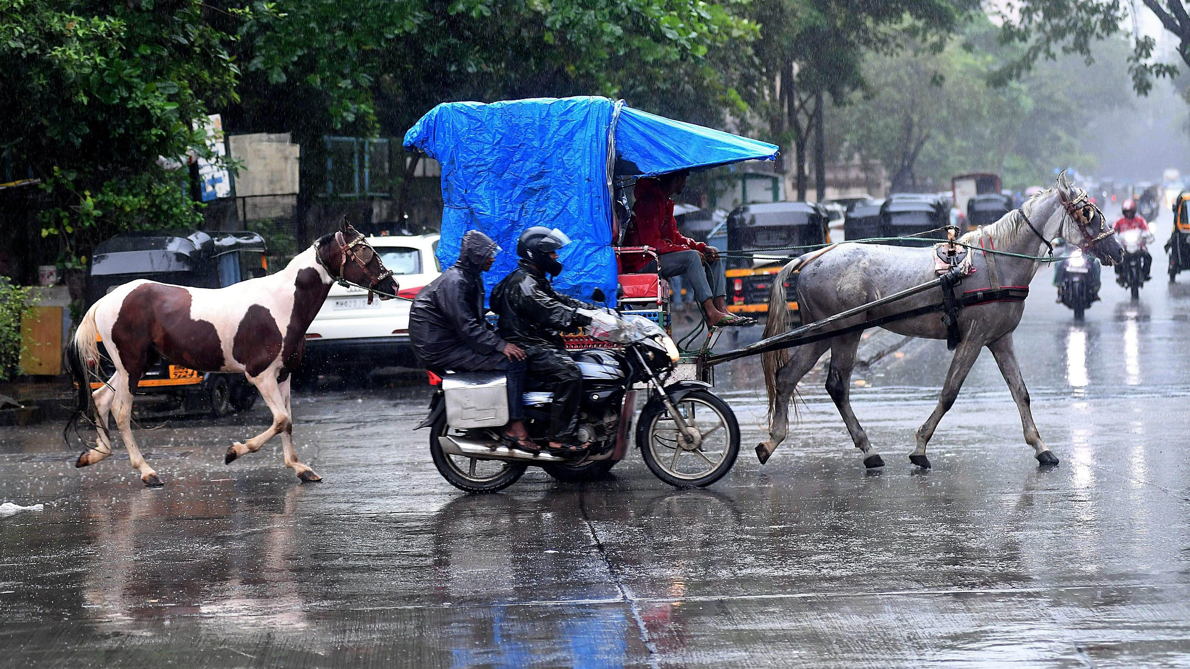 <div class="paragraphs"><p>A horse cart, seen during rains, in Mumbai, Saturday.</p></div>